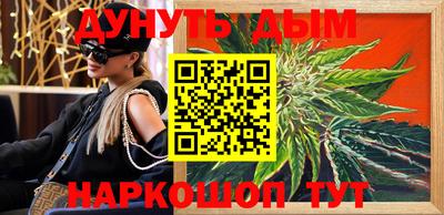 стаф Ставрополь