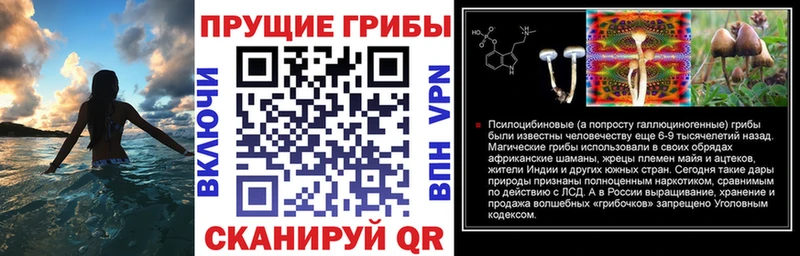Псилоцибиновые грибы мицелий hydra ссылка Карасук